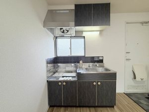 ルモンプルミエール 0203号-9