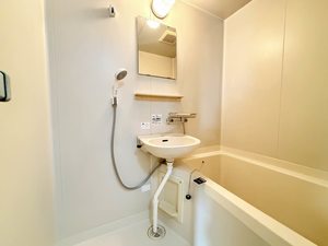 ルモンプルミエール 0203号-11