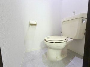 ルモンプルミエール 0203号-12