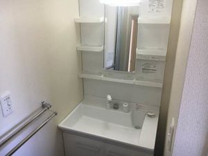 フレグランスアップル N201号-8