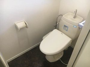 フレグランスアップル N201号-10