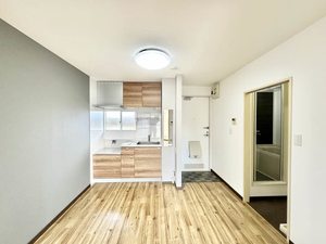 サングリーンハイツ 0202号-6