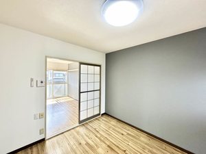 サングリーンハイツ 0202号-8