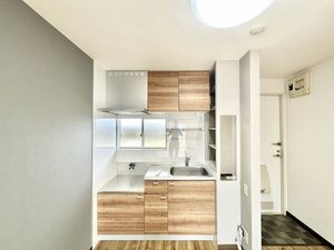 サングリーンハイツ 0202号-9