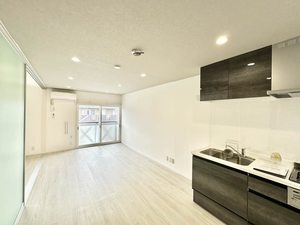 ゼクス碧南 A203号-11