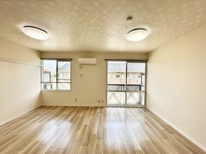 プレメゾーンいとう C202号-8