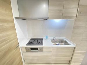 フォーブルはるひ B101号-11