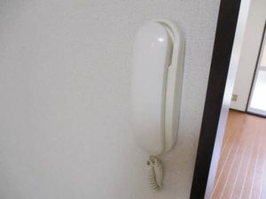 キャッスルコート 0105号-7