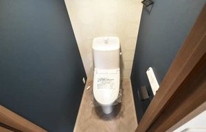 ドエルクレセント 0103号-8