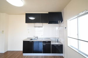 ドエルクレセント 0201号-5