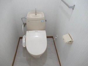 フレグランスイイダ B102号-12