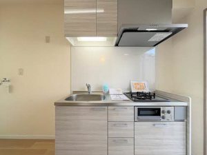 ジュネス瑞穂 A205号-11