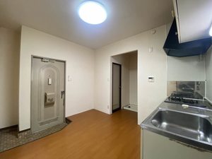 ヌーボーＭＫＫ 0101号-8