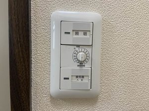 ヌーボーＭＫＫ 0101号-12