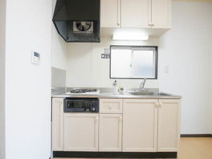 ヌーボーＭＫＫ 0201号-3