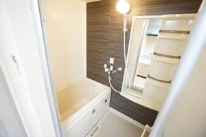 ファミールロジュマン 0201号-9