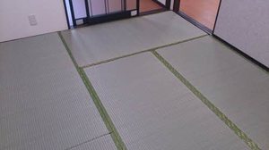 アベニューフラワー A102号-5