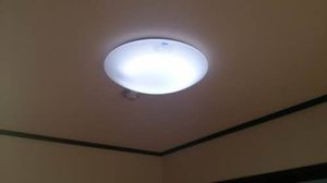 アベニューフラワー A102号-8