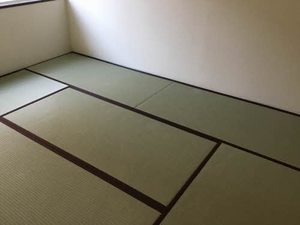 アベニューフラワー B103号-9