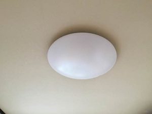 アベニューフラワー B103号-11