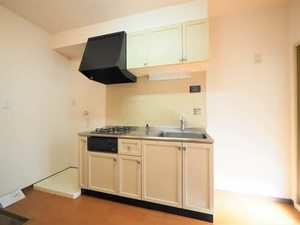 フロンティア神沢 D101号-6