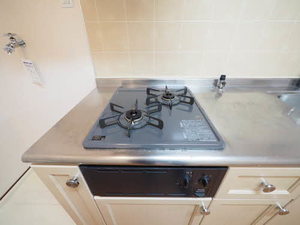 フロンティア神沢 D101号-8