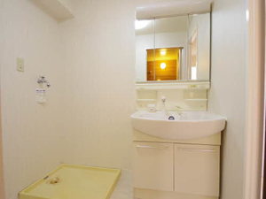 ラメゾンクレール 0501号-10