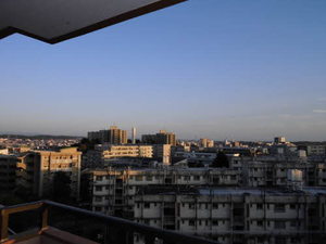 ラメゾンクレール 0601号-12