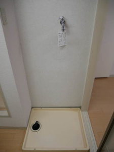 ベリーズ丸山 A105号-9