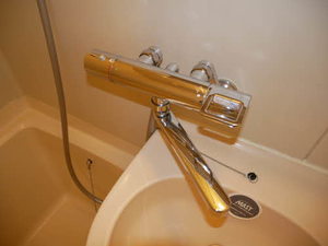 ベリーズ丸山 A105号-15