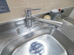 ベリーズ丸山 A205号-9