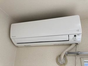 ノーブルエルドラド 0203号-12