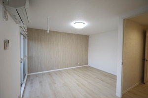 カントリーハイツ A102号-11