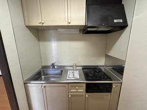 ＪＯＹ　ＨＯＵＳＥ 0101号-10