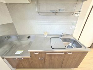 グリーンプラーサ 0203号-11