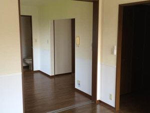 シャーロック D201号-6