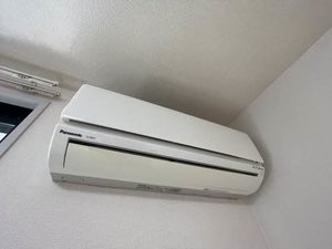 メゾンリュミエール C102号-8