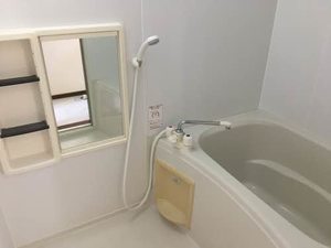 ビクトリーパレス 0202号-9