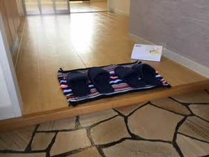 パストラル新光町Ⅱ 2201号-11