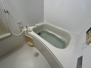 ラフィネ C102号-9