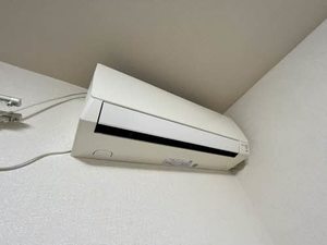 ラフィネ C102号-12