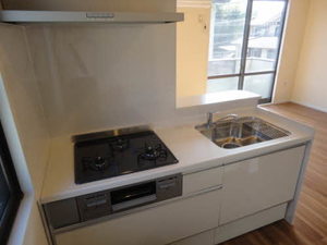 ドミールゆうひがおか A201号-4