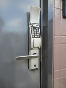 シトロンツリーＹＴ 0201号-10