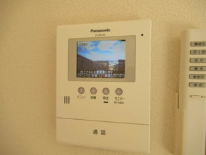 シトロンツリーＹＴ 0201号-12