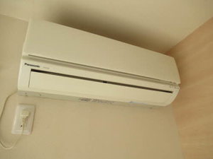 シトロンツリーＹＴ 0201号-13