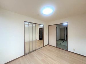 セードルナミ 0101号-3