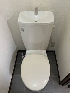 セードルナミ 0101号-13