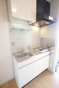 ディアハイビスカス 0101号-6