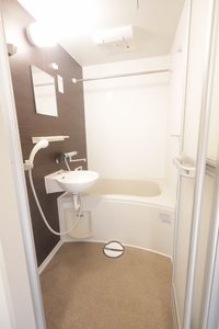 ディアハイビスカス 0101号-9