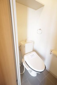 ディアハイビスカス 0101号-10